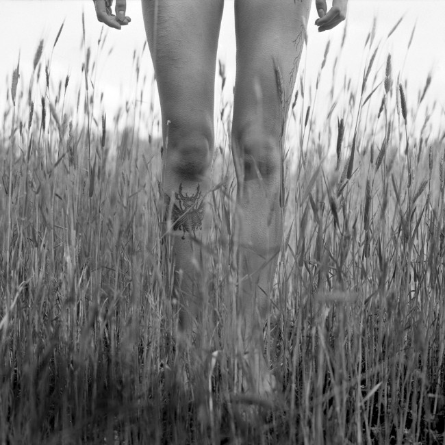 Artistic / Conceptual - *** - photo Wojciech Schoen, portfolio photographer