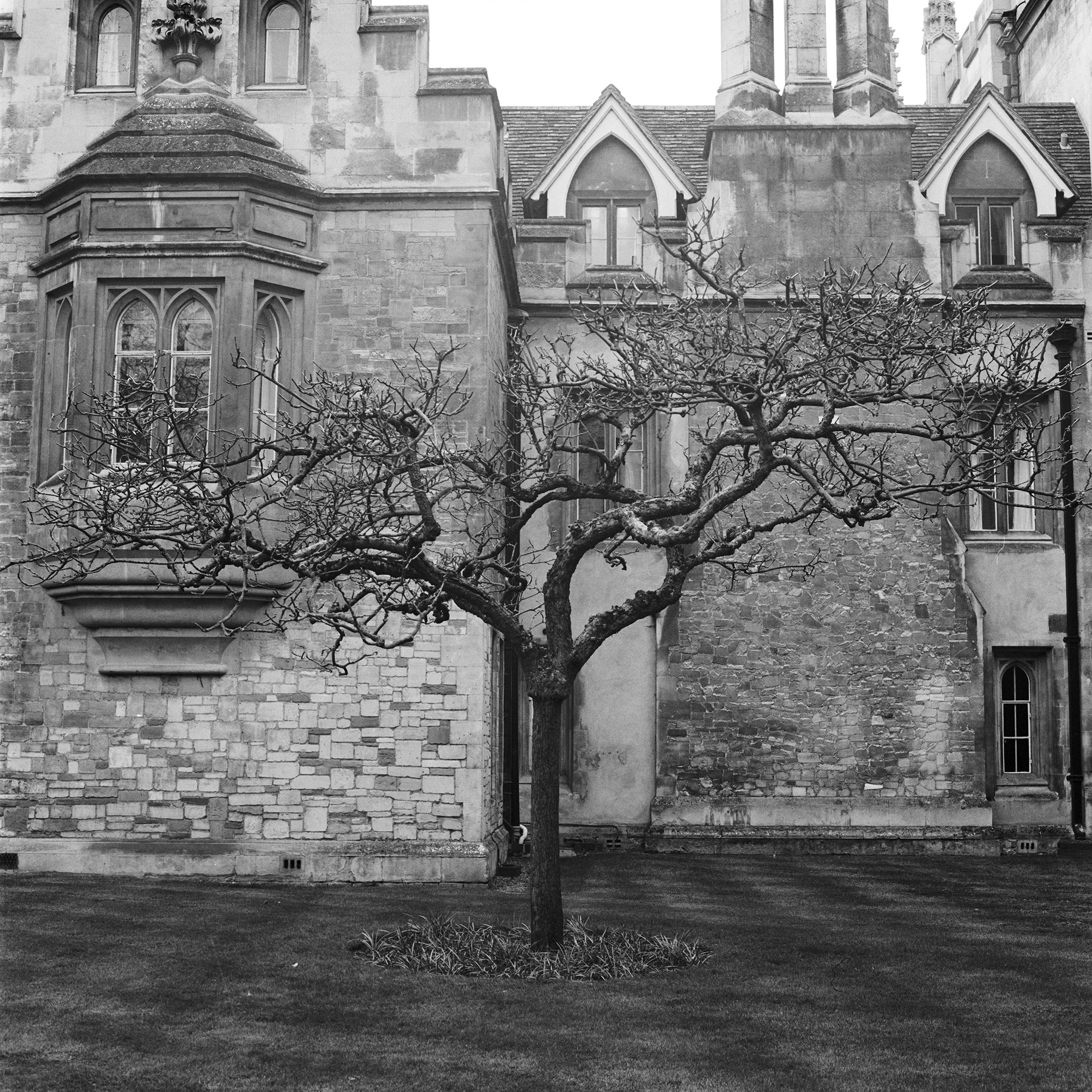 Nature / Wildlife - Cambridge - photo Piotr Prokopowicz, portfolio photographer