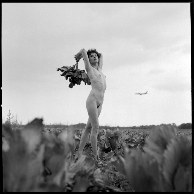 Akt - Agnieszka - fotografia Piotr Prokopowicz, portfolio fotograf